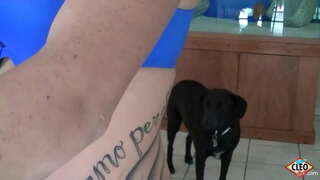 Inked Boba uning Cleo katta Dik stress ozod qilish kerak bo&#039;lsa, yordam qo&#039;lini berish uchun sevadi, agar uning tits butun iliq jum olish mumkin, agar yana ham! Juda yaxshi! To&#039;liq Video &amp;amp; Uning Cleo Barcha @ ItsCleoLive.com!